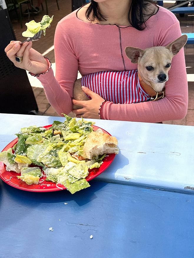 Little Beast Dog Clothes, Pet Clothes for Large, Medium, and Small Dogs (Dog Shirts Come in Multiple Colors and Styles) - Size: XX-Small Dogs, Red/Blue