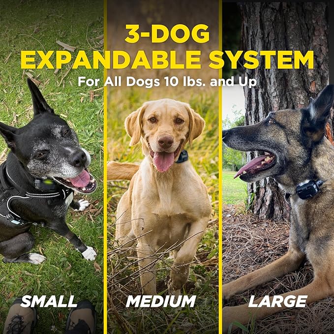 Dogtra 280X 2-Dogs E-Collar with Remote [New Edition] 10 lbs+, 1/2 Mile Range, LED Light, 100 Levels of Control for Stubborn Dogs, Waterproof, Boost for Quick Recall, Vibration, Safety Lock & Tone