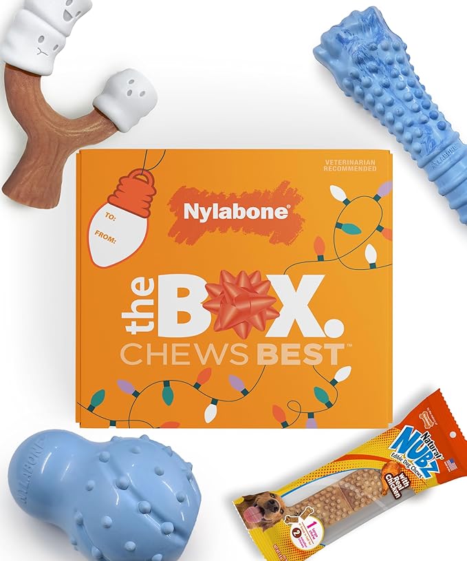 Nylabone Dog Gift Box, Includes 3 Rubber Strong Chew Toys and 1 Natural Treat, Gifts for Dogs, Large - Up to 50 lbs, 4 Pack