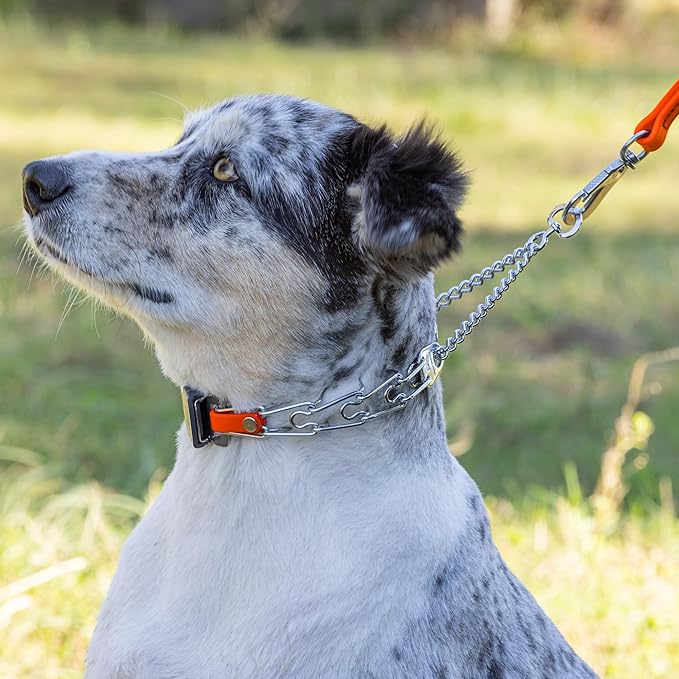 Herm Sprenger Chrome Plated Steel Dog Collar with Quick Release ClicLock Buckle and Biothane Insert Training Collar for Dogs Made in Germany (Hunter Orange, 16in x 2.25mm(Neck Size up to 13-14in))