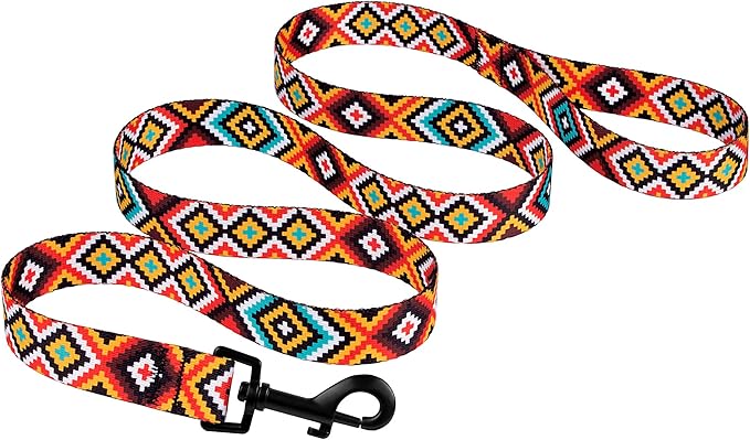CollarDirect Aztec Dog Leash Nylon Tribal Pattern Cat Pet Leashes for Small Medium Large Dogs Puppy Lead 5 FT Long for Walking (Aztec Sunset, M)