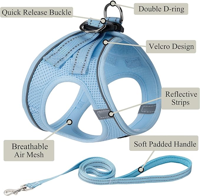Dog Harness with Leash Set, No Pull Adjustable Reflective Step-in Puppy Pet Vest Harnesses for Small Medium Large Dogs and Cats,Sky Blue XXS