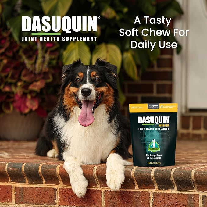 Nutramax Laboratories Dasuquin with MSM Joint Health Supplement for Large Dogs - With Glucosamine, MSM, Chondroitin, ASU, Boswellia Serrata Extract, and Green Tea Extract, 150 Soft Chews