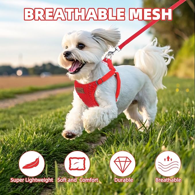PUPTECK Dog Harness and Leash Set Small Sized, Step-in Cute Puppy Harness, Soft Lightweight Padded Vest, Escape Proof No Pull Pet Harnesses Easy for Walking, Red, S
