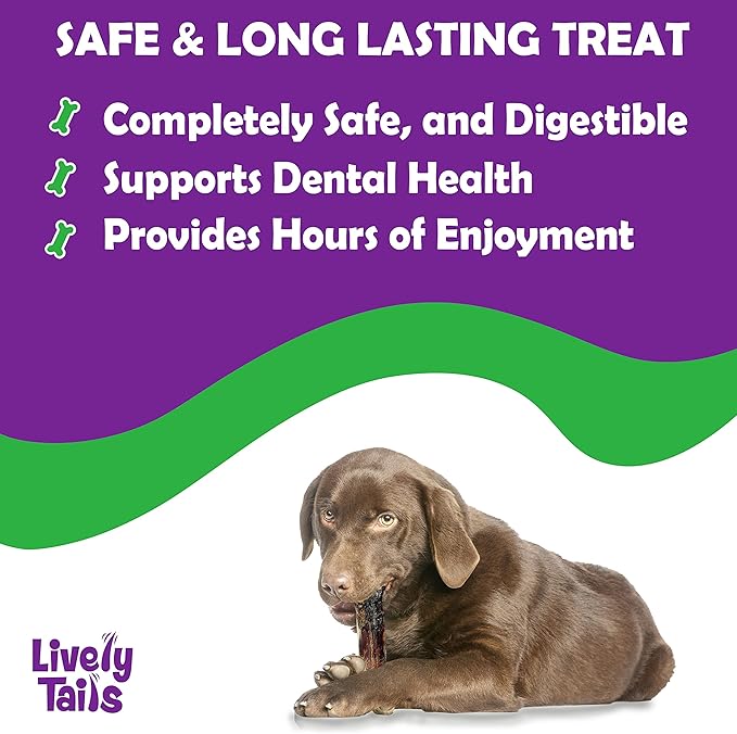Liver Coated Dog Bones for Aggressive Chewers, Chew Bone for Large Dogs, Beef Shin Large Bone, Long Lasting Dog Bones, 2 Pack