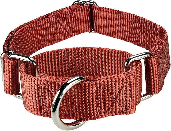 Mikivery Martingale Dog Collar Nylon Adjustable and Safety Training Brick Red Caramel Comfortable Metal Buckle Pet Collars for Small Medium and Large Dogs