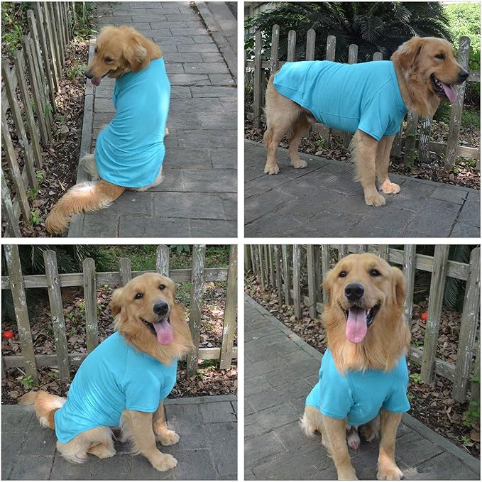 Lovelonglong 2019 Pet Clothing Dog Costumes Basic Blank T-Shirt Tee Shirts for Medium Small Dogs Turquoise XL