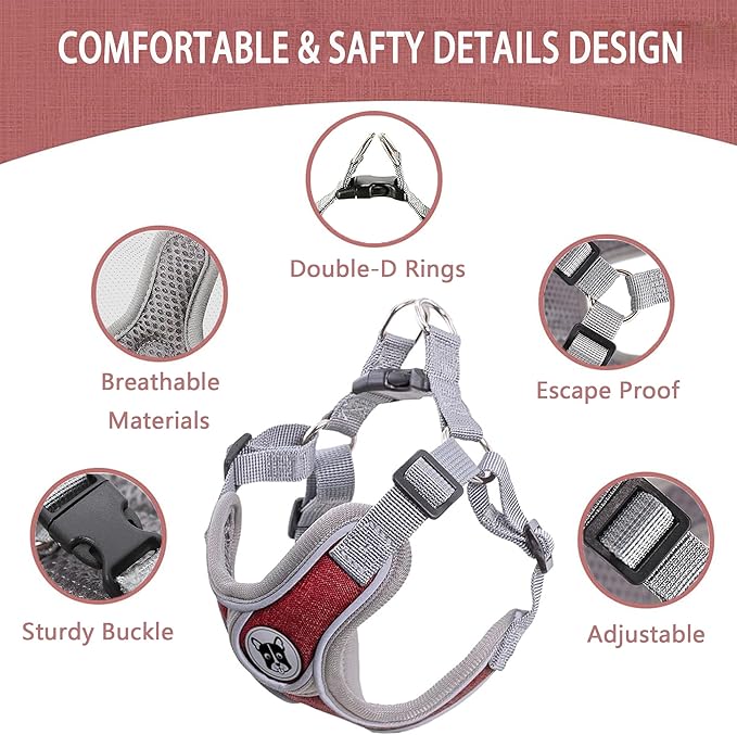 Puppy Harness and Leash Set,No Pull Adjustable Step in Soft Mesh Vest Harness,Easy Walk Reflective Pet Harness with Padded Handle for Walking Training Small Medium Large Dogs and Cats (Red, XS)