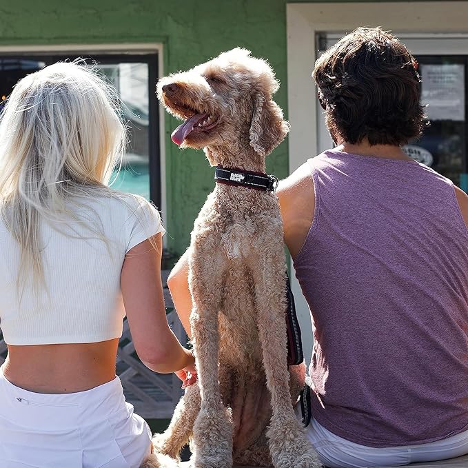 Black Rhino Dog Collars for Medium Dogs - Adjustable Reflective Heavy Duty Dog Collar with Ultra-Soft Neoprene Padding - Weatherproof, Durable, and Comfortable for Active Dogs - Burgundy and Black