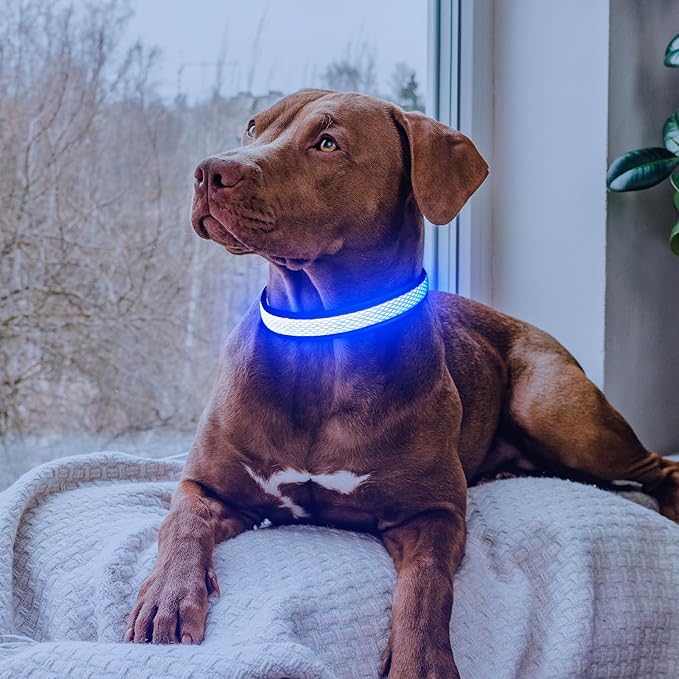 Flashseen LED Dog Collar, USB Rechargeable Light Up Dog Collar Lights, Adjustable Comfortable Soft Mesh Safety Dog Collar for Small, Medium, Large Dogs(Medium, Royal Blue)