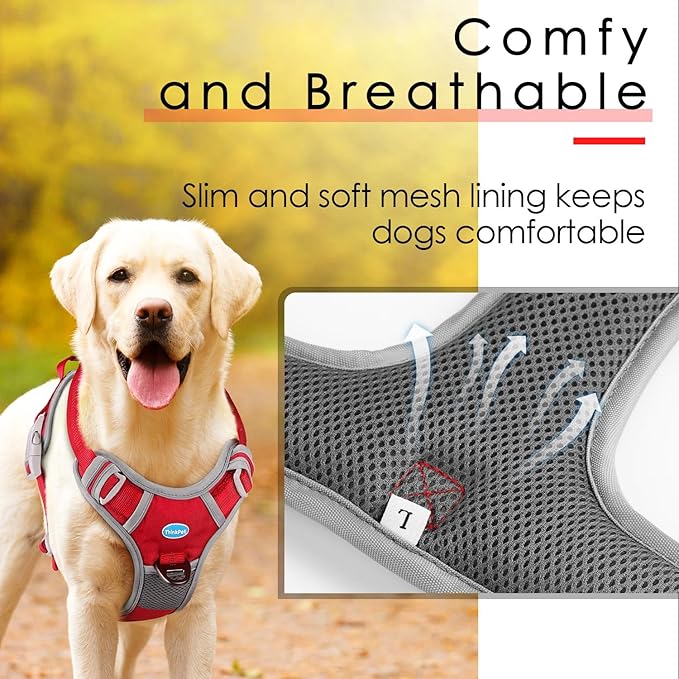 ThinkPet No Pull Harness Set Breathable Sport Harness with Handle - Reflective Padded Dog Safety Vest with Reflective Neon Dog Leash XL Harness Leash Pack Red