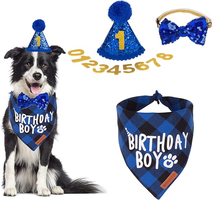 ADOGGYGO Dog Birthday Party Supplies, Multi Size Offered, Blue Birthday Boy Dog Bandana, Pet Party Hat with Numbers Bow for Medium Large Pets (Large)