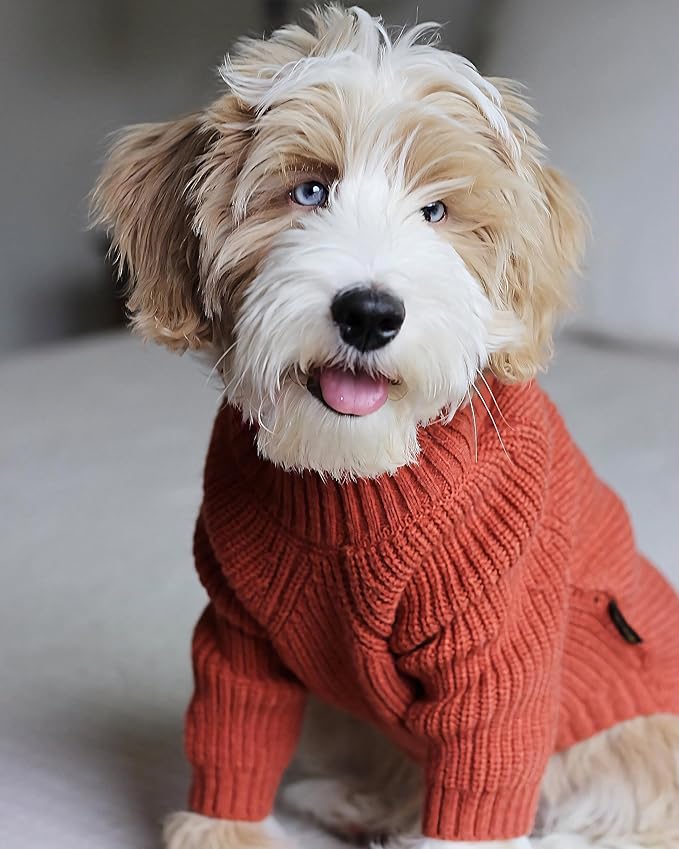 Fitwarm Thermal Knitted Dog Sweater Doggy Winter Coat Pet Clothes Doggie Turtleneck Jacket Puppy Outfits Cat Sweatsuit Red Large
