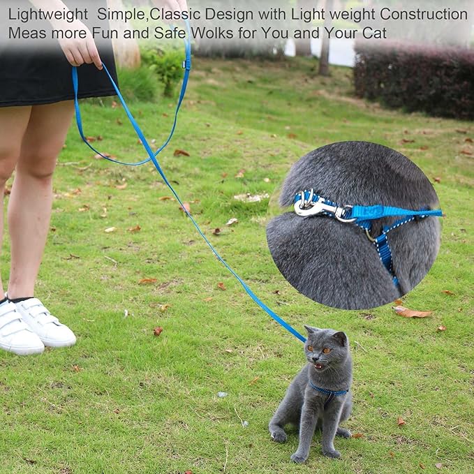 AMAGOOD 6 FT Puppy/ Dog Leash, Strong and Durable Traditional Style Leash with Easy to Use Collar Hook, Great for Small, Medium and Large Dogs (5/8 in x 6 ft, Black and Blue (2-Pack))