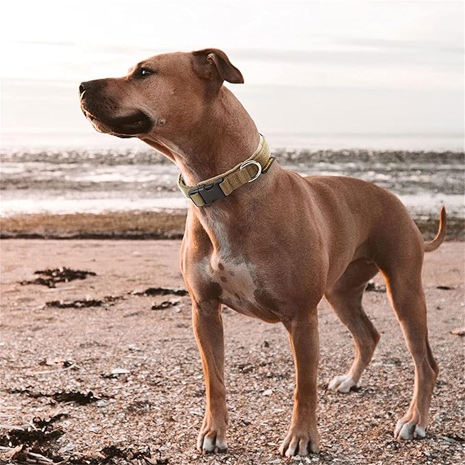 EXCELLENT ELITE SPANKER Nylon Puppy Dog Collar Adjustable Soft Padded Collar Heavy Duty Quick-Release Buckle Lightweight No-Choke for Small Medium Dogs(COB,XS)