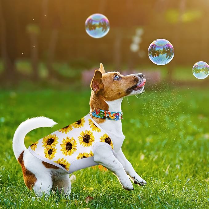 8 Pieces Sublimation Blank Dog Shirt, Heat Transfer Dog Apparel Pajamas, Heat Press Lightweight Puppy Vest, Cool Breathable Clothes for Small Medium Wearing(M)