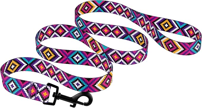 CollarDirect Aztec Dog Leash Nylon Tribal Pattern Cat Pet Leashes for Small Medium Large Dogs Puppy Lead 5 FT Long for Walking (Tribal Magenta, L)