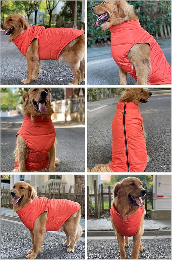 Orange M Dog Winter Coat, Waterproof, Ultra Warm, Windproof, Zippered Jacket, Breathable, Soft Cotton Lining for Small, Medium, Large Dogs