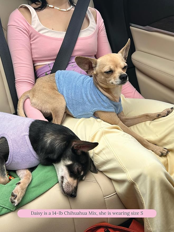 ADEDAS Sleeveless Shirt - Purple XL