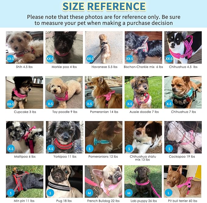 SlowTon No Pull Small Dog Harness and Leash Set, Puppy Soft Vest Harness Neck & Chest Adjustable, Reflective Lightweight Harness & Anti-Twist Pet Lead Combo for Small Medium Dogs(FU,M)