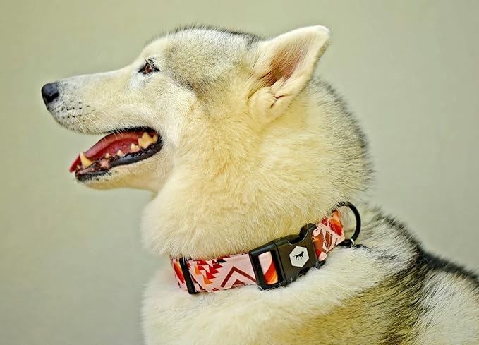 Tuff Pupper Premium Adjustable Dog Collar for Medium Boy & Girl Dogs, Stylish Pattern Collars Designed in USA, Quick Release Buckle, AztekSun Print, Medium (1 Inch Wide x 13-18 Inch Neck)