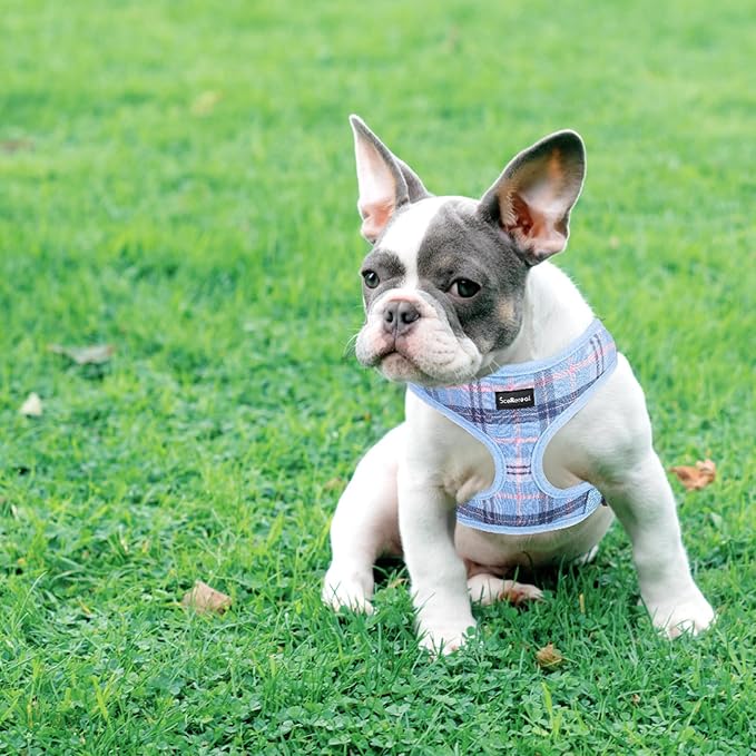 SCENEREAL Puppy Dog Harness with Leash Set for Small Medium Sized Dogs, Soft Mesh Step in Pet Harnesses and Leash, No Chock Plaid Adjustible No Pull Vest for Dogs Cats, Chihuahua,Bulldog (Blue S)