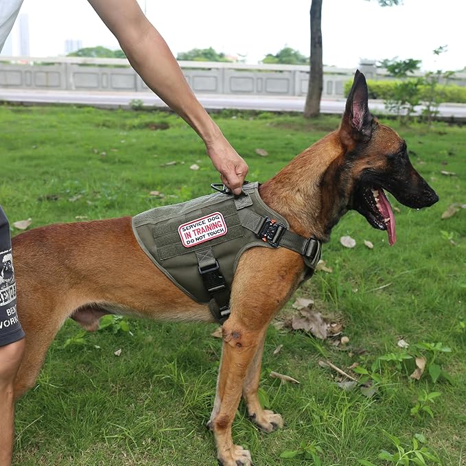 ICEFANG Tactical Dog Harness,Large Size, 2X Metal Buckle,Working Dog MOLLE Vest with Handle,No Pulling Front Leash Clip,Hook and Loop Panel