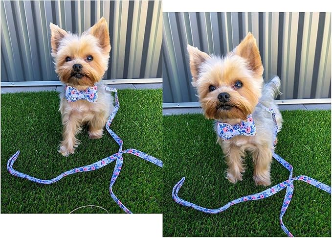Unique style paws Dog Collar Bow tie Collar Adjustable Collars for Dogs and Cats Small Medium Large