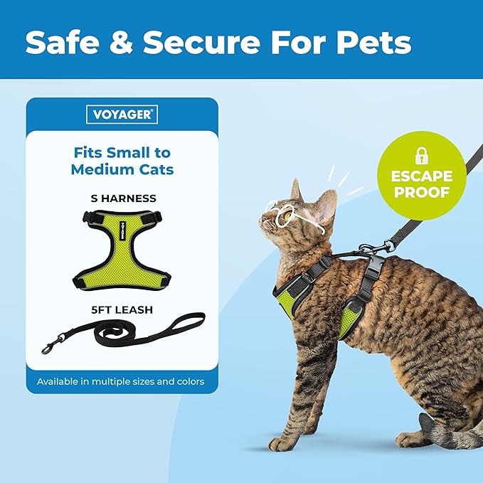 Voyager Escape Proof Cat Harness and Leash Set with Reflective Stitching, Neoprene Handle 5ft - Supports Small, Medium and Large Cats, Kittens for Walking by Best Pet Supplies - Black Trim-Lime, S
