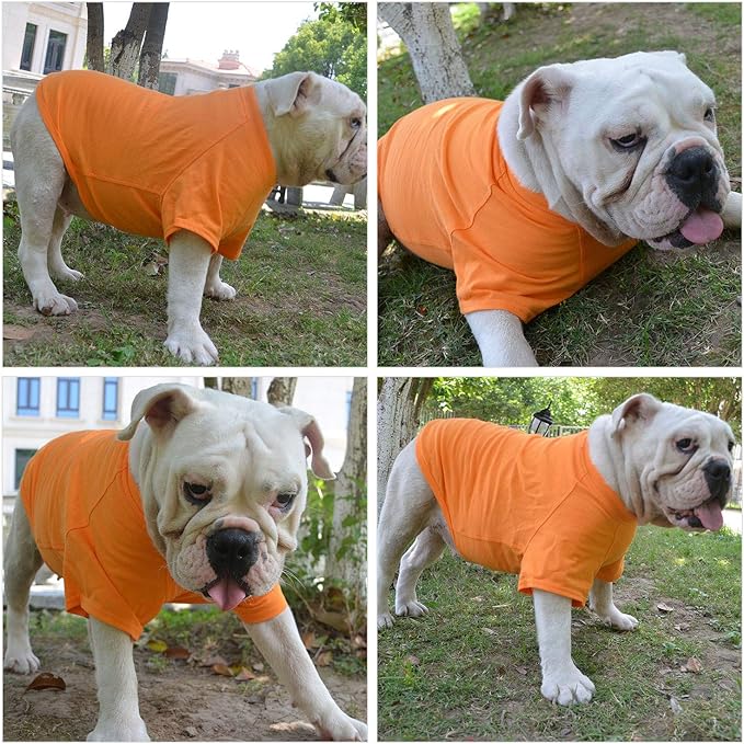 Lovelonglong Pet Clothing Dog Costumes Basic Blank T-Shirt Tee Shirts for Small Dogs Orange S
