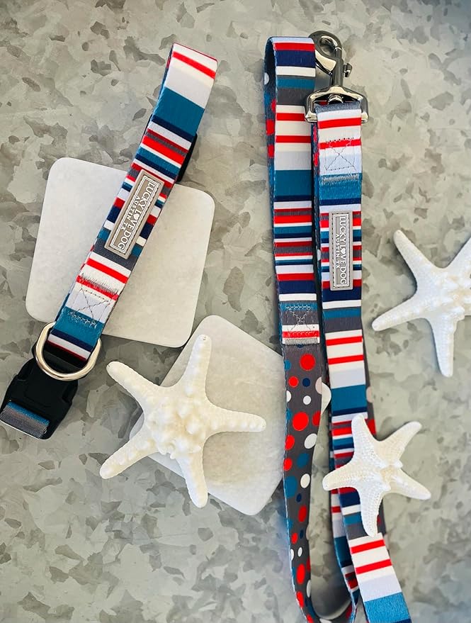 Lucky Love Dog - Adjustable Dog Collar and Leash Set with Easy Click Buckle for Small to Large Dogs, Durable, & Comfortable Collar for Male & Female Dogs, Puppies & Adult Ones - Linus Combo, Large