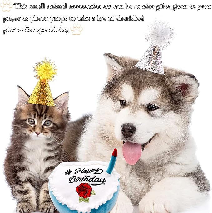 PET SHOW 10pcs Mini Small Dog Hats Cat Birthday Party Hat Rabbit Hats for Holiday Wedding Puppies Kittens Costume Accessories