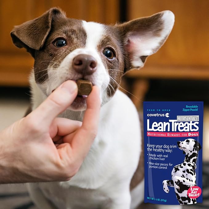 Nutrisential Lean Treats for Dogs - Soft Dog Treats for Small & Medium Dogs - Nutritional Low Fat Bite Size K9 Treats - Chicken Flavor - 10 Pack - 4oz