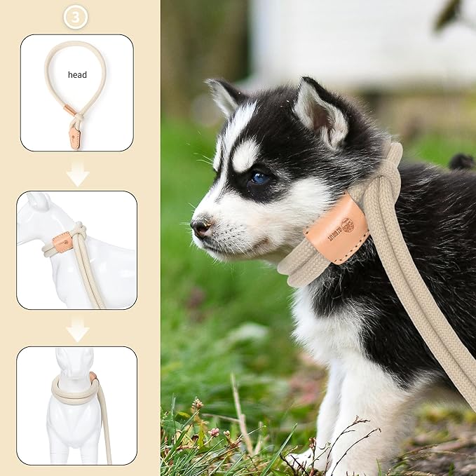 Mile High Life Harness Lead No Pull, All in one Dog Lead 2-in-1, Rope Leash and Harness Two in One, Slip Leash for Puppy Small Dogs Training, 4FT White