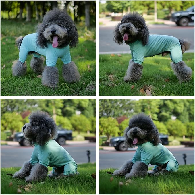 LoveLongLong Dog Jumpsuit with UV Protection and Quick-Dry Fabric for Spring Summer Pet Pajamas Turquoise 2XL