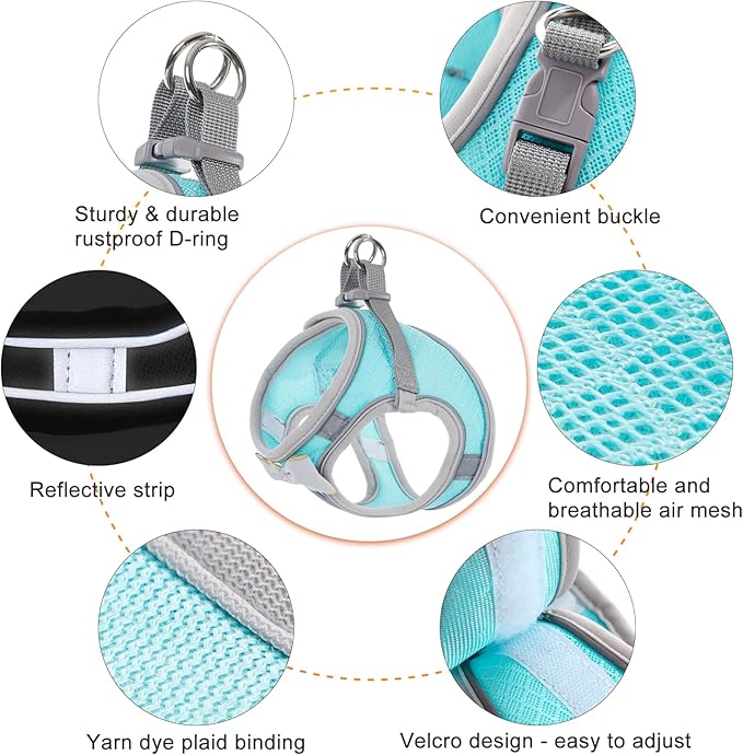Dog Harness with Leash Set, Step-in Breathable Puppy Cat Dog Vest Harnesses, No Pull Adjustable Reflective Puppy Harness with Soft Padded Vest for Extra-Small/Small Medium Large Dogs and Cats