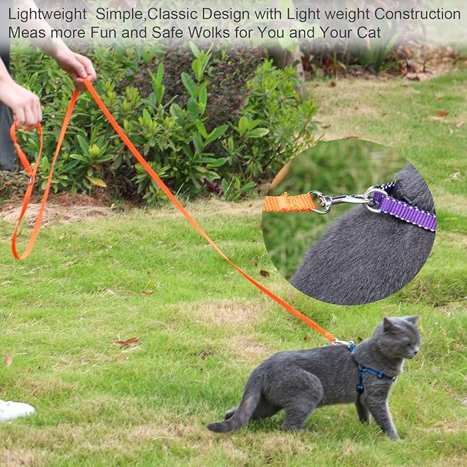 AMAGOOD 6 FT Cat Leash, Strong and Durable Traditional Style Leash with Easy to Use Collar Hook,Cat Lead Great for Cats (3/8 in x 6 ft,Black and Orange(2-Pack))