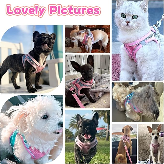 Soft Small Dog Harness and Leash Set Mesh Puppy Harnesses Leash Easy Walk Dog Harness Vest Adjustable Reflective No Pull Dog Harnesses for Small Dogs Cats (Pink,XS)