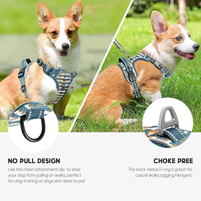 Timos Dog Harness, No-Pull Pet Harness with 2 Leash Clips, Adjustable Soft Padded Dog Vest, Reflective Outdoor Pet Oxford Vest with Easy Control Handle,Sunset Valley, XS
