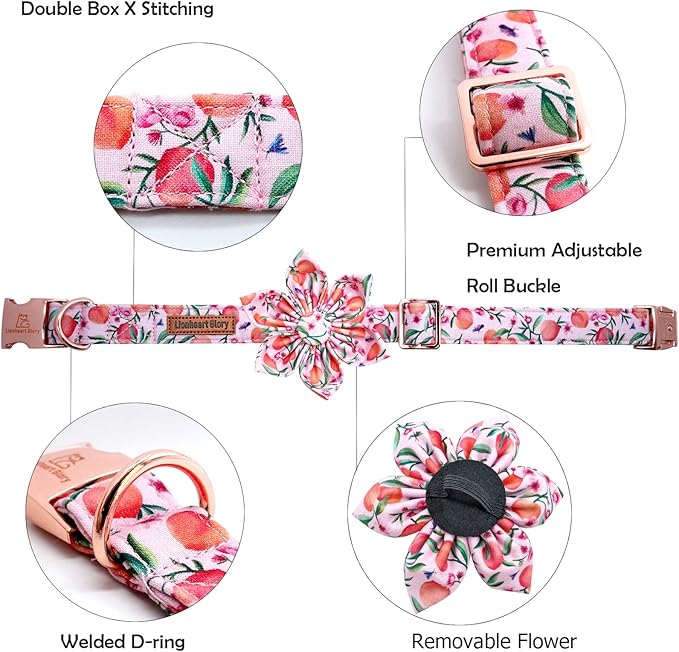 Lionheart Glory Pink Peach Dog Collar with Flower Bow for Small Dogs