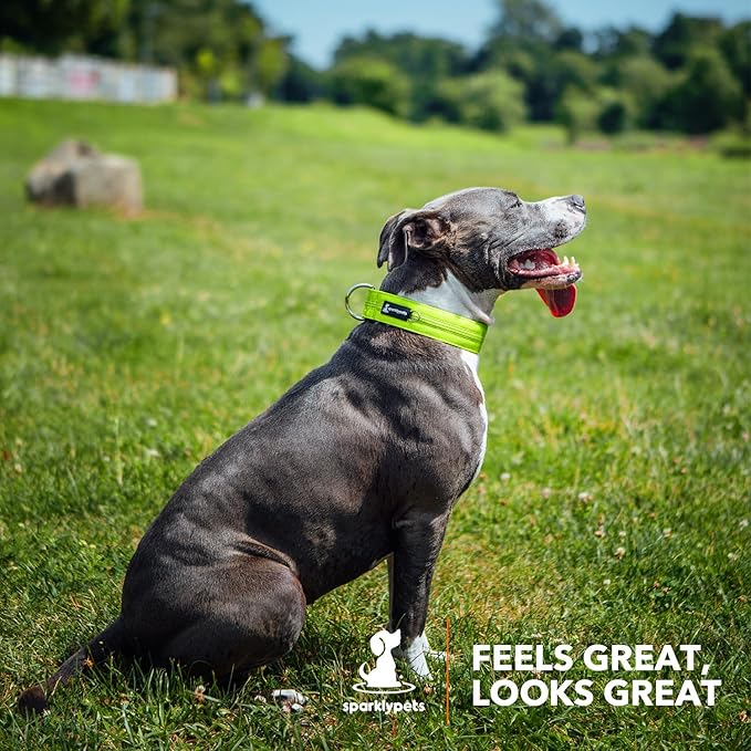 SparklyPets Heavy Duty Wide Dog Collar with Quick Release Chrome Buckle – Thick Tactical Dog Collar with Reflective Stripes & Soft Lining – for Large & Medium Breeds