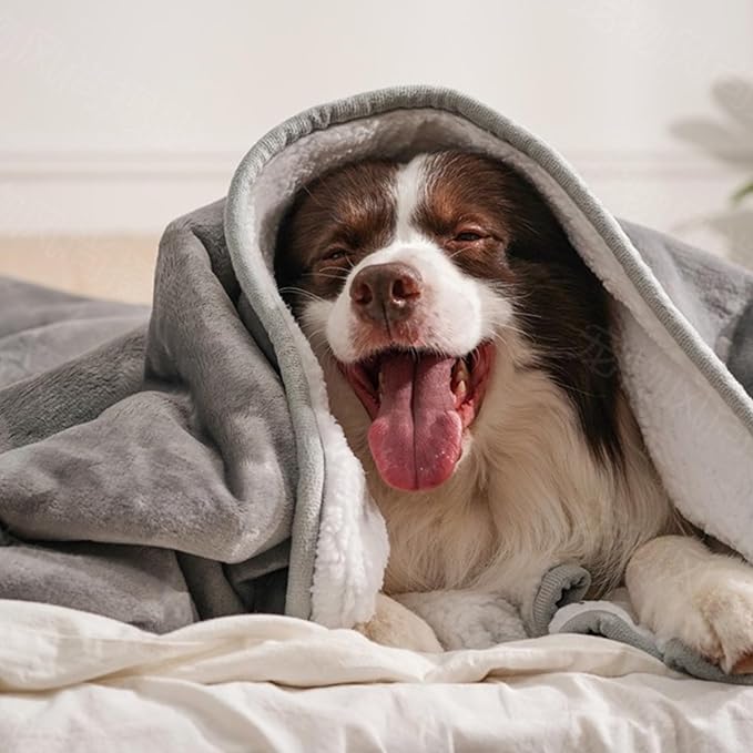 gogobunny Waterproof Bed Blanket, Reversible Sherpa Fleece Throw Blanket for Dog Puppy Cat, Furniture Cover Protects Bed Couch Sofa from Liquid Pee and Pet Fur (Grey, 50x60 inches)