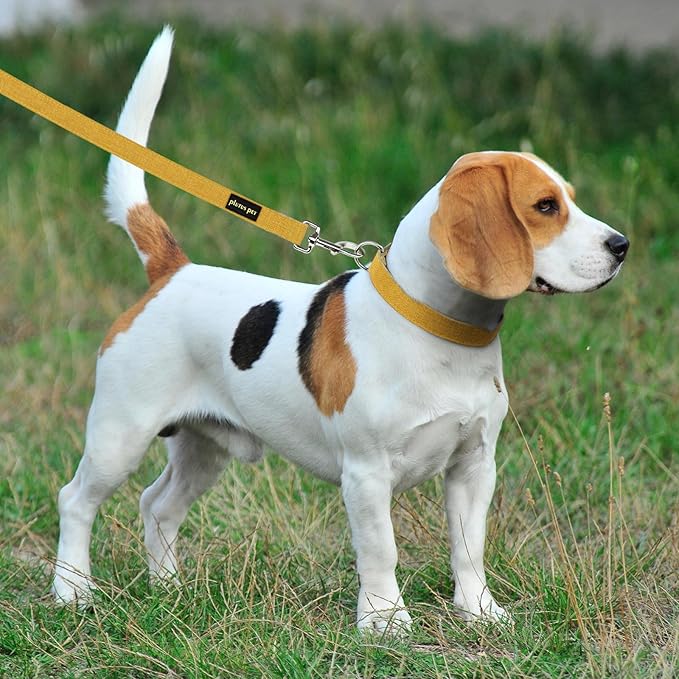 Plutus Pet Cotton Hemp Dog Collar and Leash Set, Adjustable Collar for Small, Medium, and Large Dogs, Heavy Duty and Soft on Skin, Yellow, M