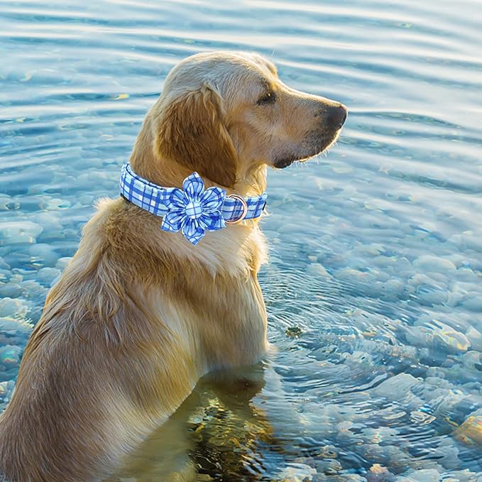 Elegant Little Tail Blue Plaid Adjustable Flower Collar for Small Puppy and Dog