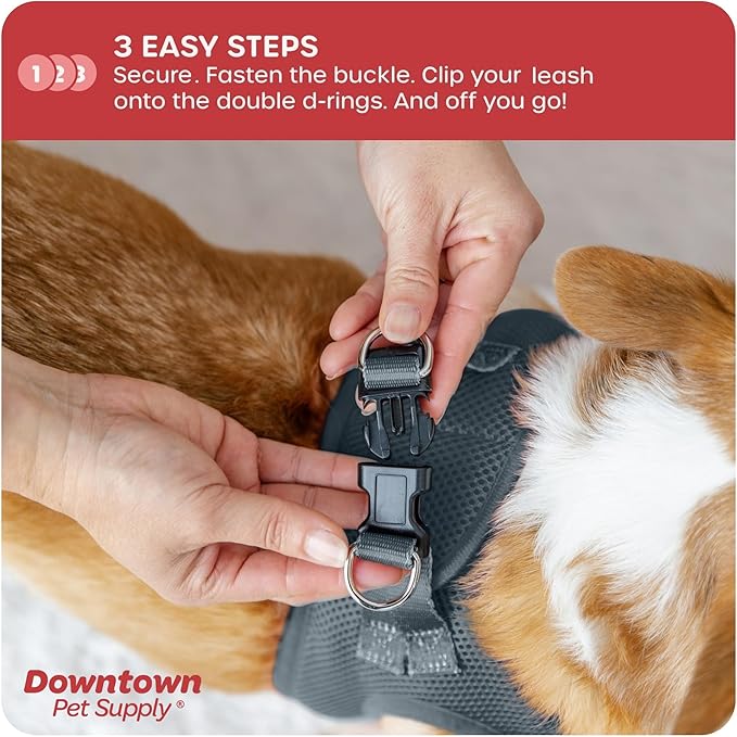 Downtown Pet Supply Step in Dog Harness for Small Dogs No Pull, Large, Titanium - Adjustable Harness with Padded Mesh Fabric and Reflective Trim - Buckle Strap Harness for Dogs