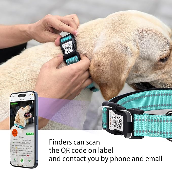 Dog Collar with QR Code, Reflective Dog Collar, Soft Neoprene Padded & Safety Locking Buckle Adjustable Pet Collar (Teal, Large)
