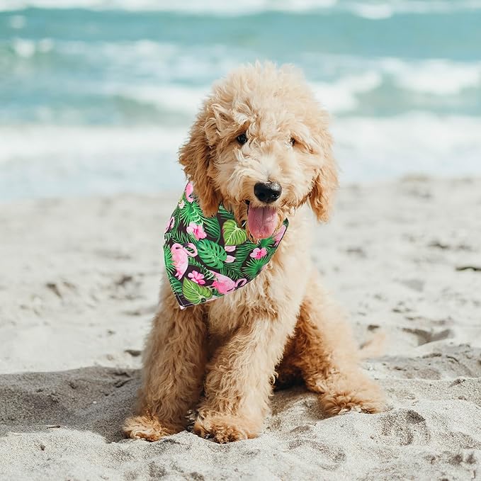ADOGGYGO Summer Hawaii Dog Bandana, 6 Pack Flamingo & Fruit Pattern Triangle Summer Bandanas for Small Dogs Pets (Small)