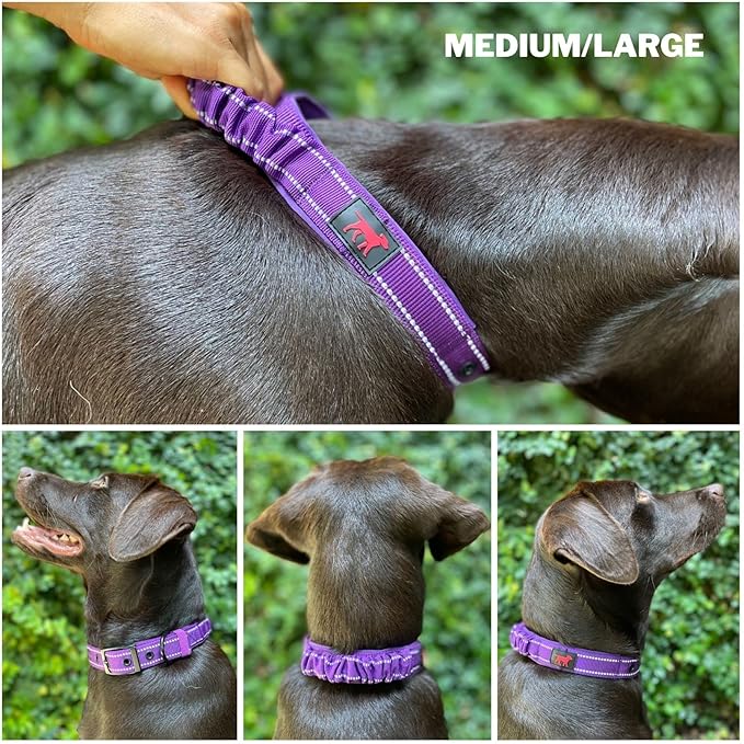 Heavy Duty Dog Collar with Handle | Ballistic Nylon Heavy Duty Collar | Padded Reflective Dog Collar with Adjustable Stainless Steel Hardware | Convenient Sizing for All Breeds