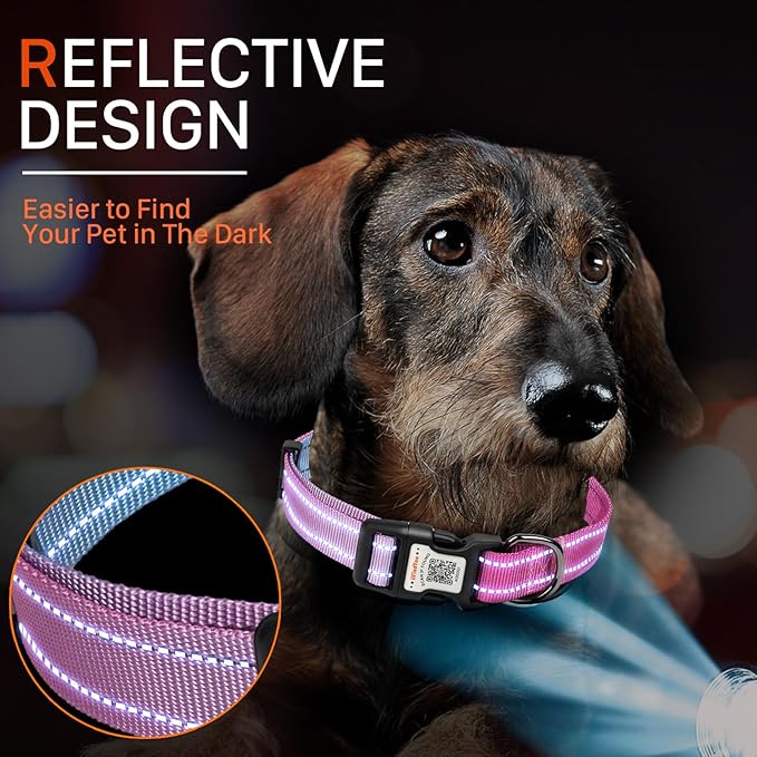 Reflective Dog Collars for Puppy Soft Nylon Blue-Rosered Gradient Sized XS