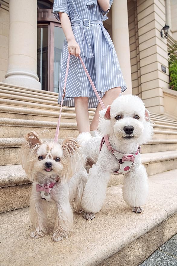 Puppytie No Pull Dog Harness with Multifunction Dog Leash,Soft Adjustable No Choke Escape Proof Pet Harness Vest for Medium Dogs,Polka dots Smoke Grey,M